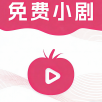 龙猫影视安卓手机下载